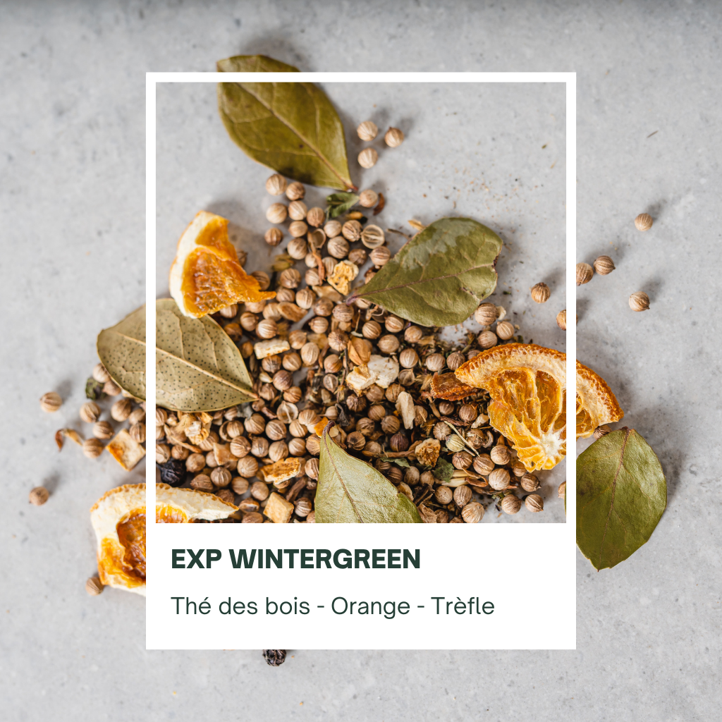 EXP - Wintergreen